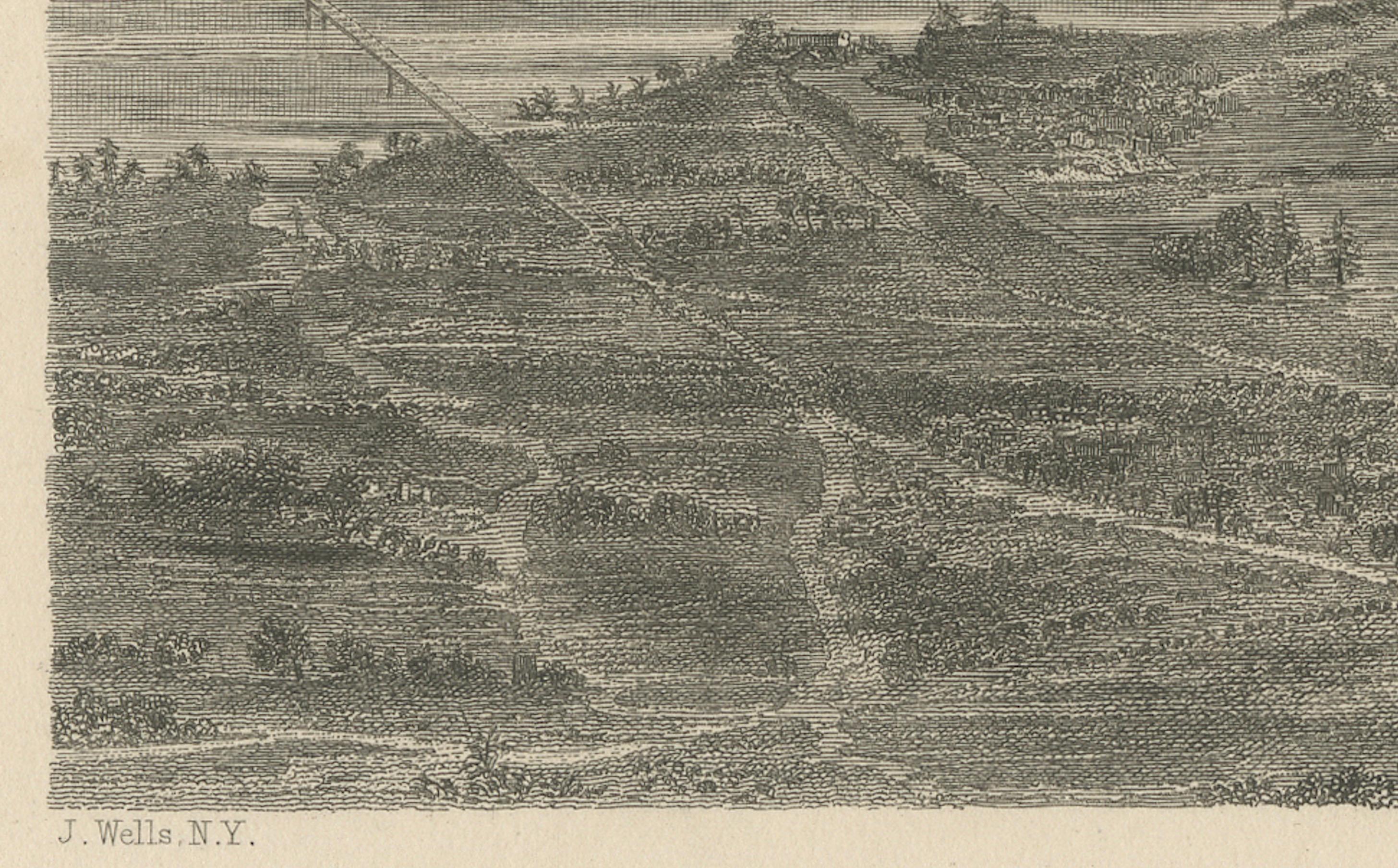 Bird’s-Eye View of Charleston, South Carolina – Panoramic City Engraving, 19th C