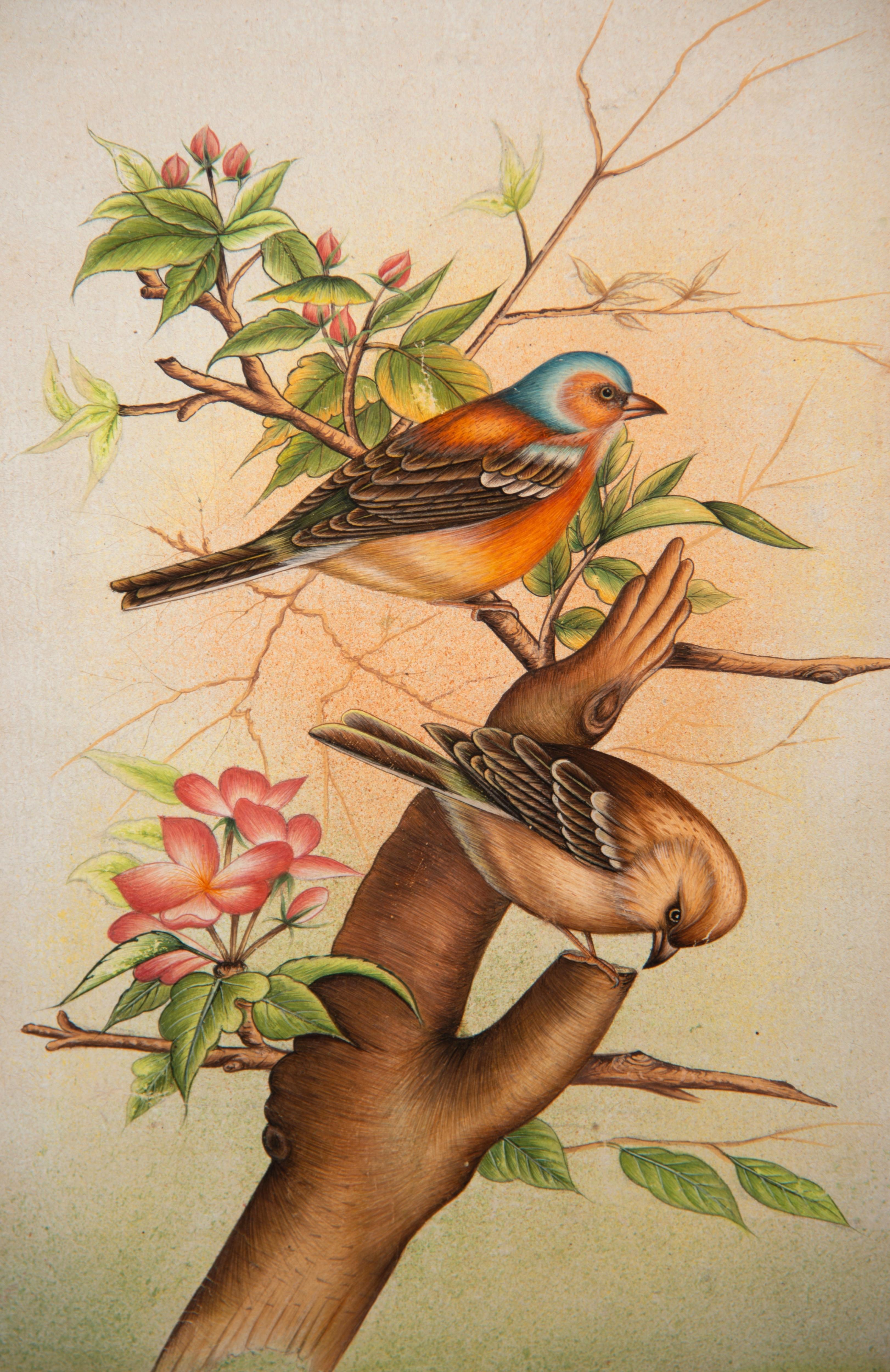 Birds. Framed watercolor. 20th century. 
Watercolor showing two birds, perhaps thrushes, perched on the branch of a flowering tree, with no background in the composition, reminiscent of old biology books. The work is unsigned. ·
 Size: 21,5x0,1x31