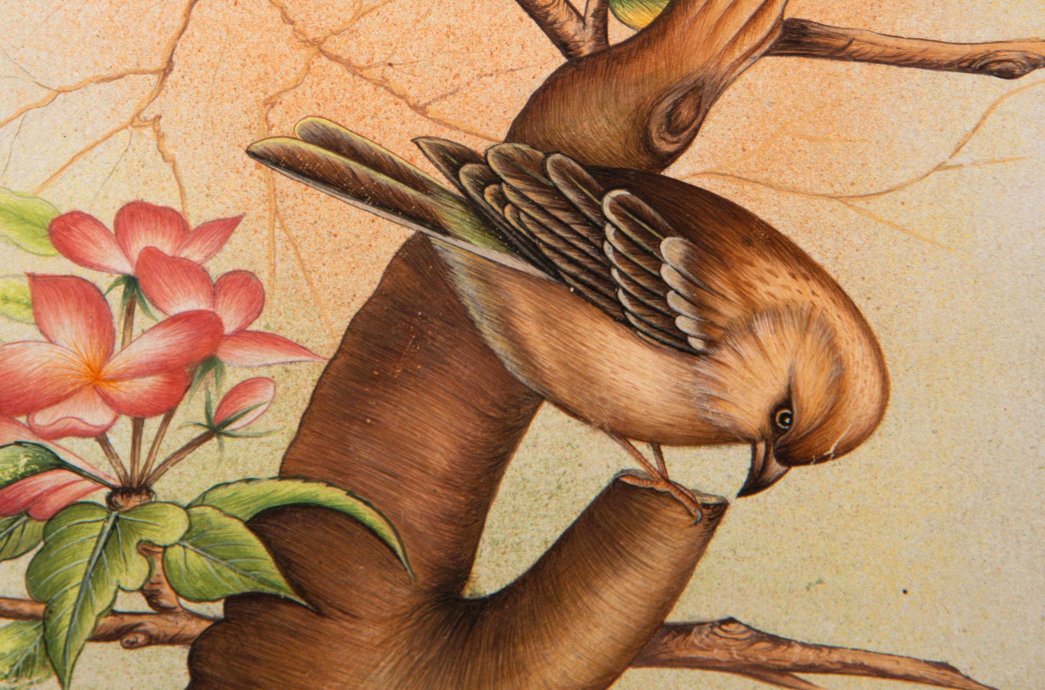 European Birds. Framed watercolor. 20th century. For Sale