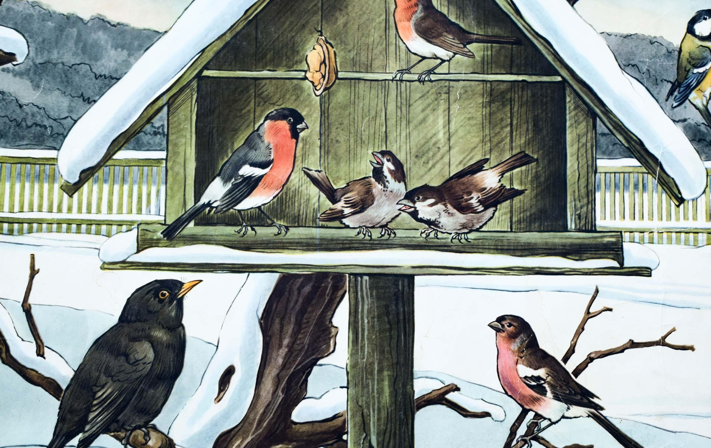 Birds in Winter, Vintage Wall Chart In Good Condition For Sale In St. Margarethen, AT