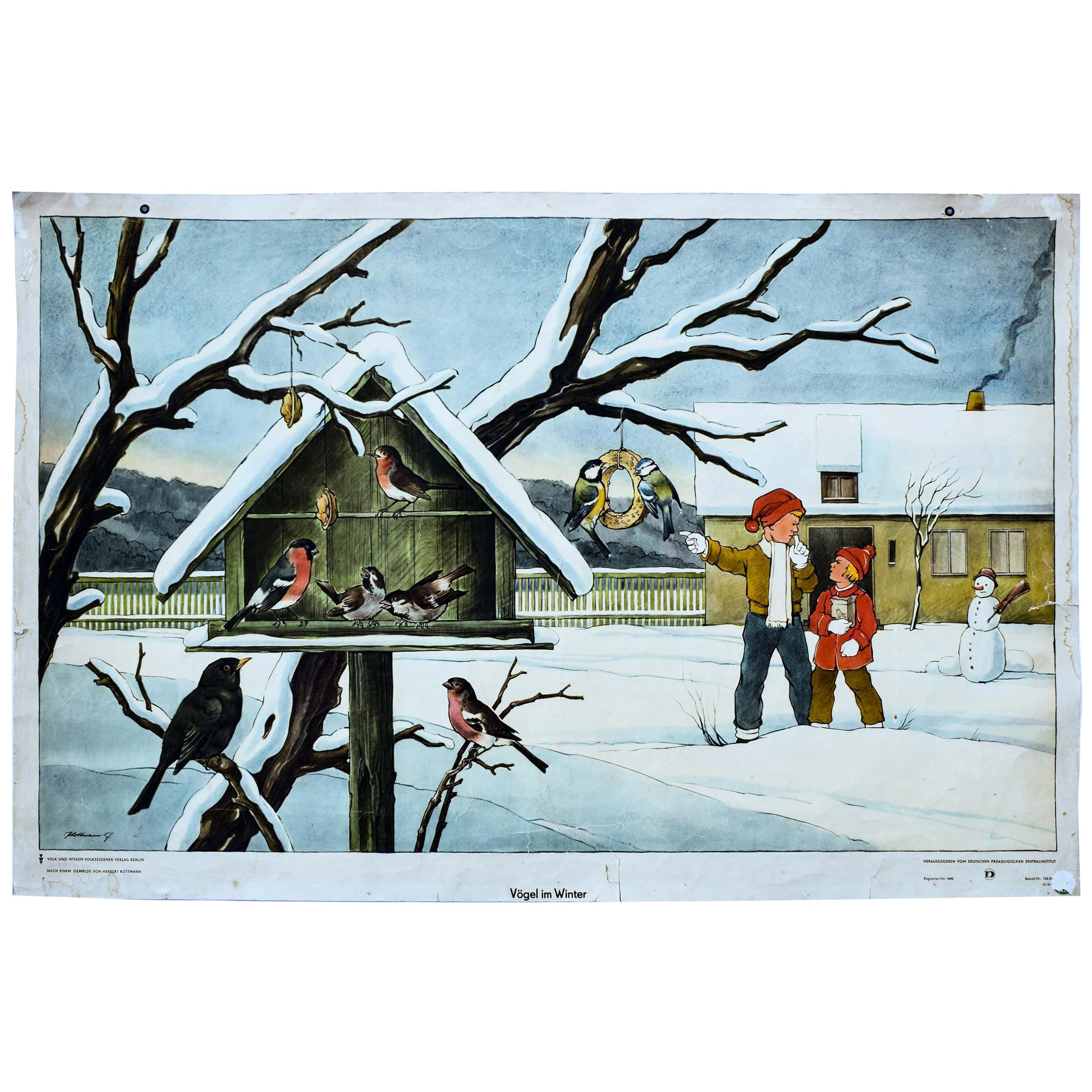Birds in Winter, Vintage Wall Chart For Sale