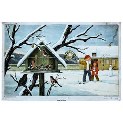 Birds in Winter, Vintage Wall Chart