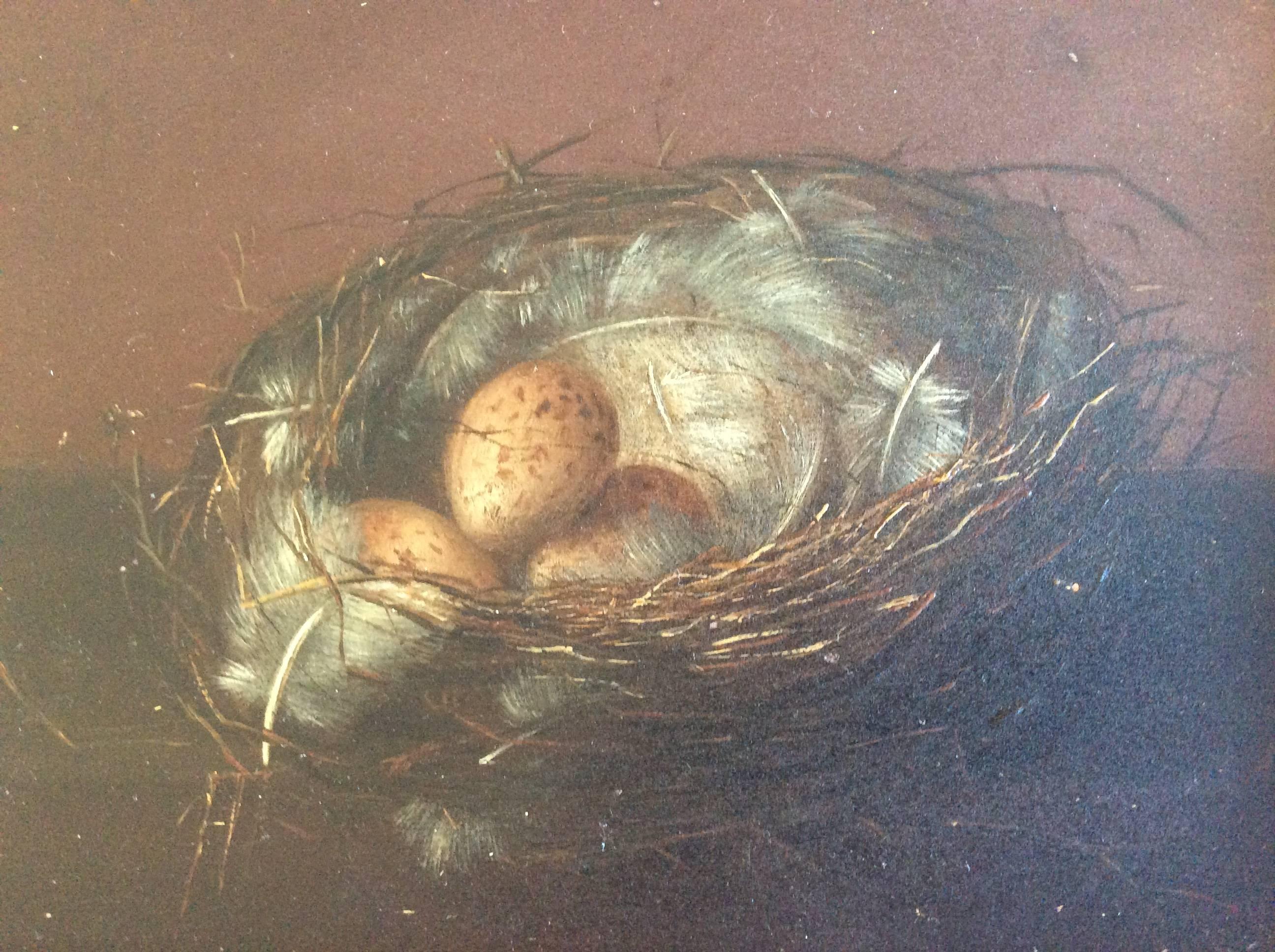 Oil on wood, very nice Danish painting of a bird's nest, giltwood frame, circa 1830.
With a unknown signature.