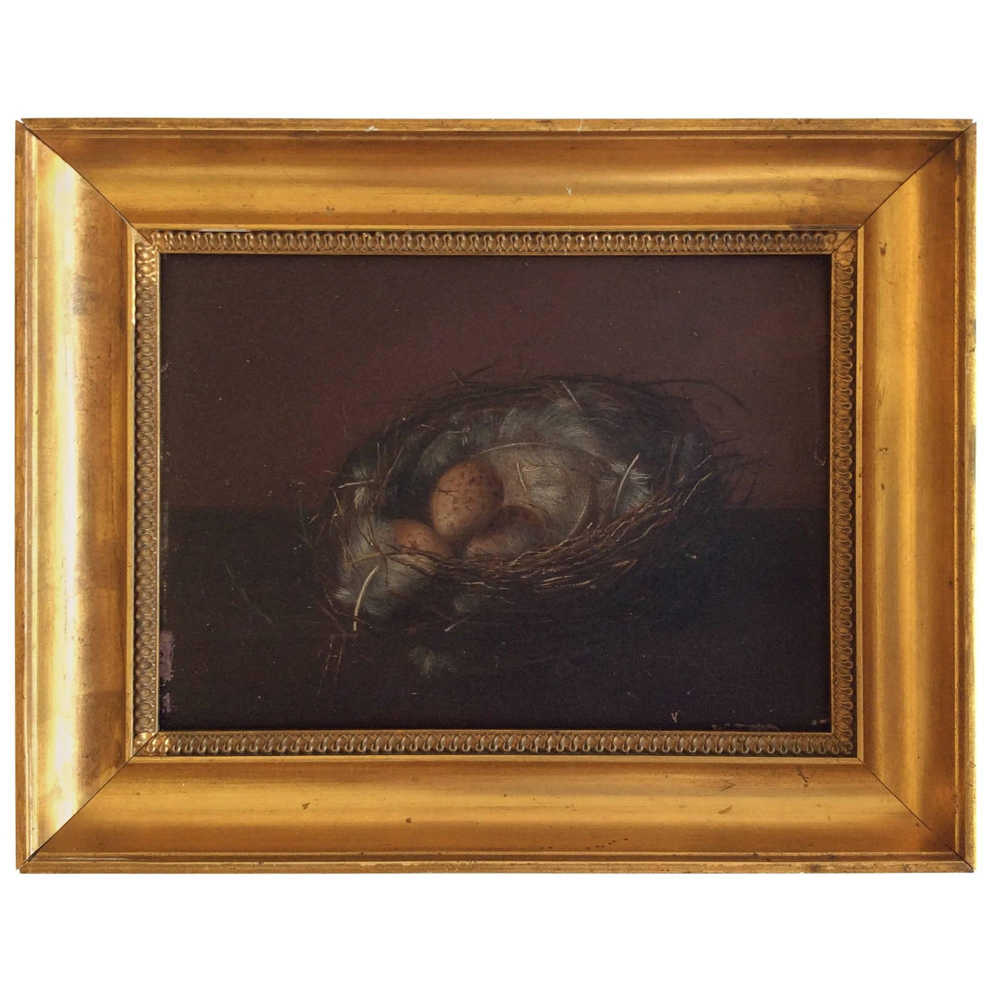 Bird's Nest, Oil Painting, Circa 1830 For Sale