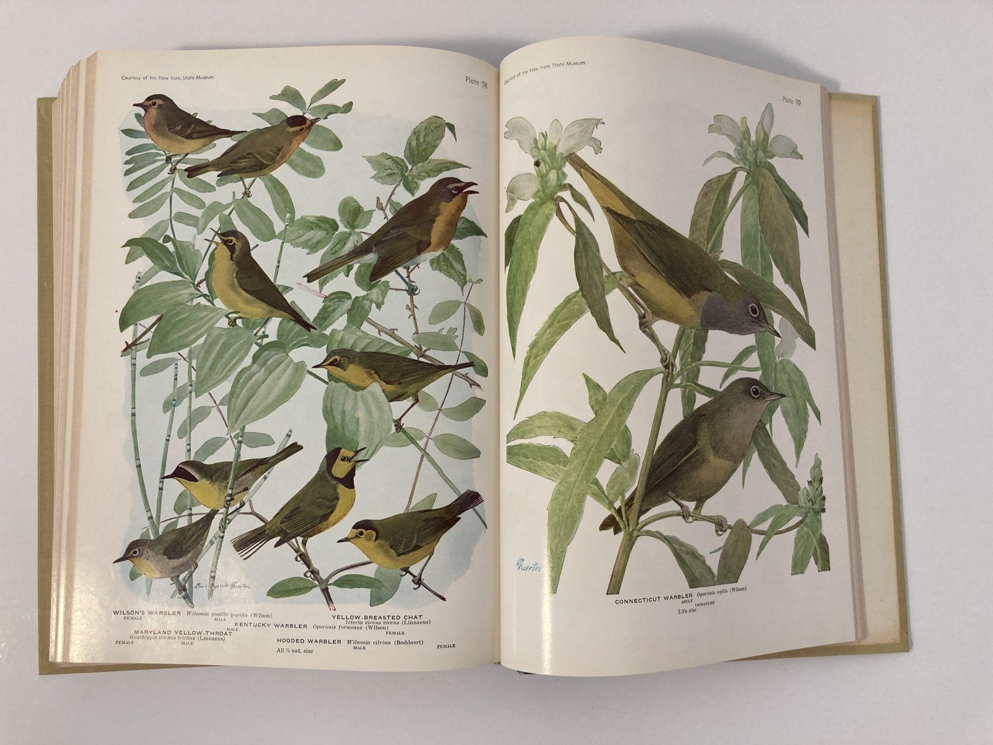 Birds of America PEARSON, Gilbert T. Published by Garden City Books 1936 Hardcov 6