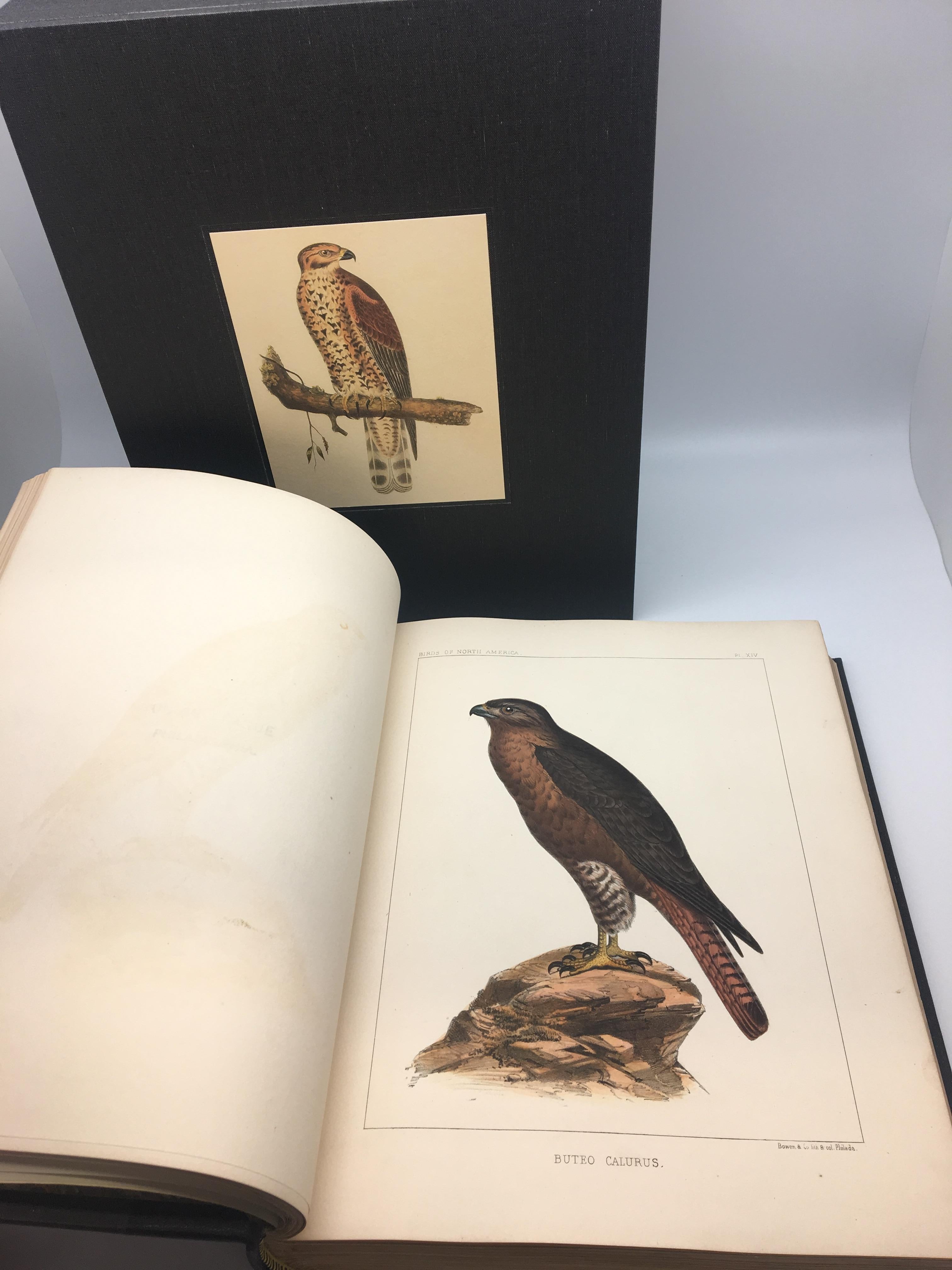 American Birds of North America by First Edition by Spencer Baird, 2-Volume Set, 1860