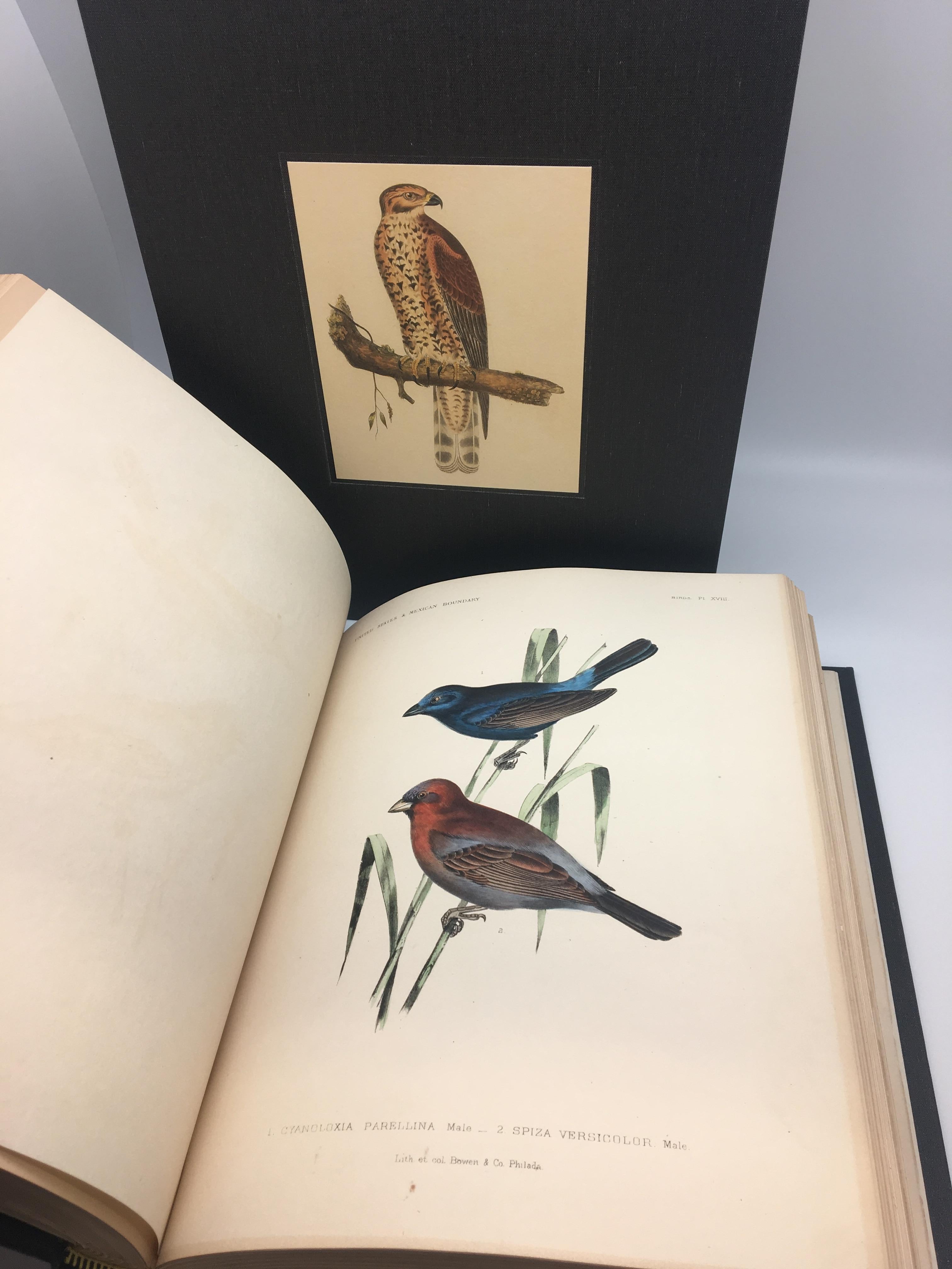 Birds of North America by First Edition by Spencer Baird, 2-Volume Set, 1860 In Good Condition In Colorado Springs, CO