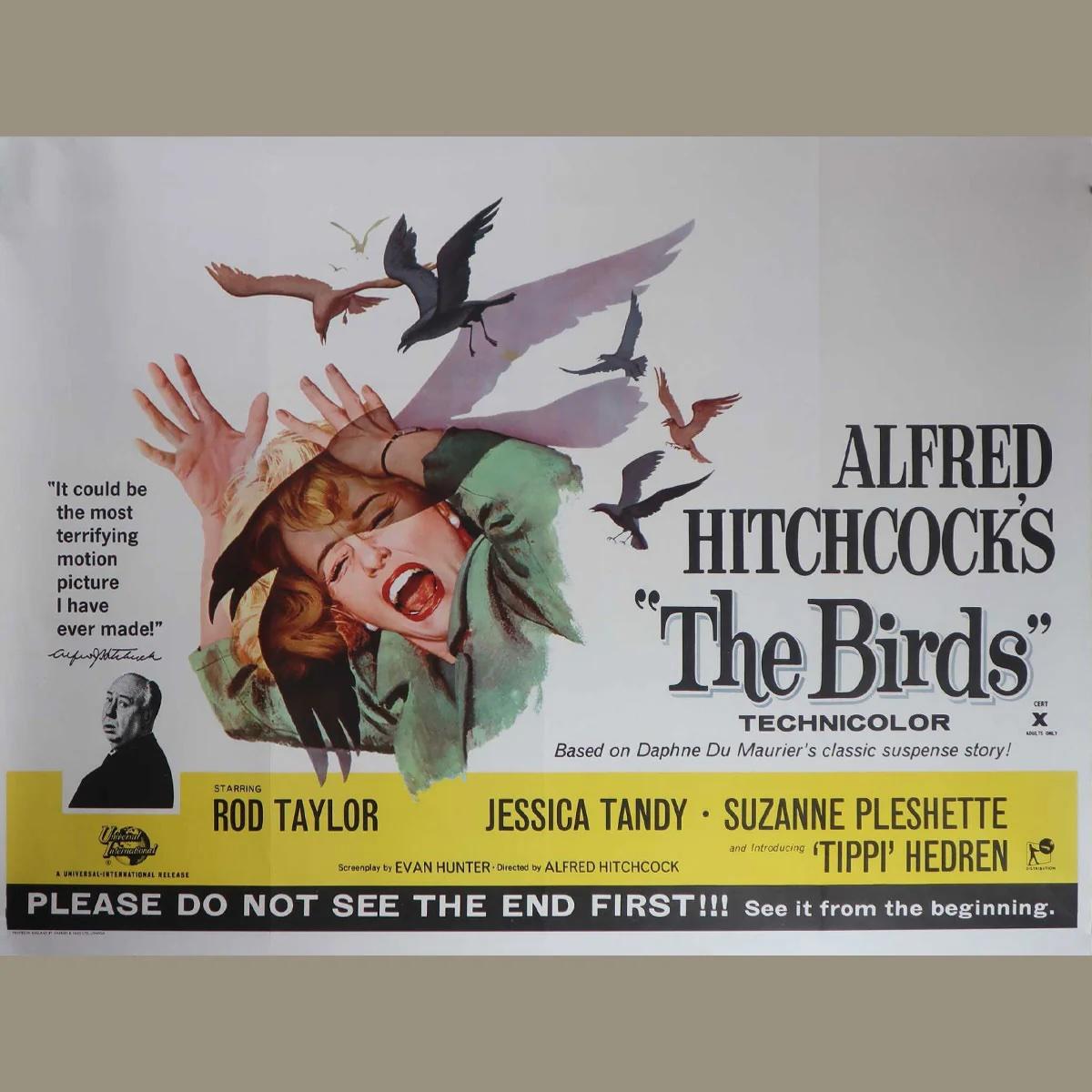 Oiseaux, The (1963)
Original British Quad (30 X 40 Inches)

Une riche mondaine de San Francisco poursuit un petit ami potentiel dans une petite ville de Californie du Nord qui prend lentement une tournure bizarre lorsque des oiseaux de toutes sortes