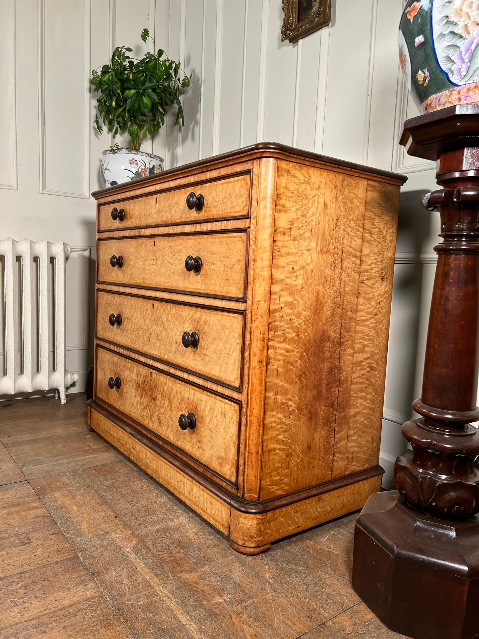 Birdseye Maple Chest of Drawers For Sale 1