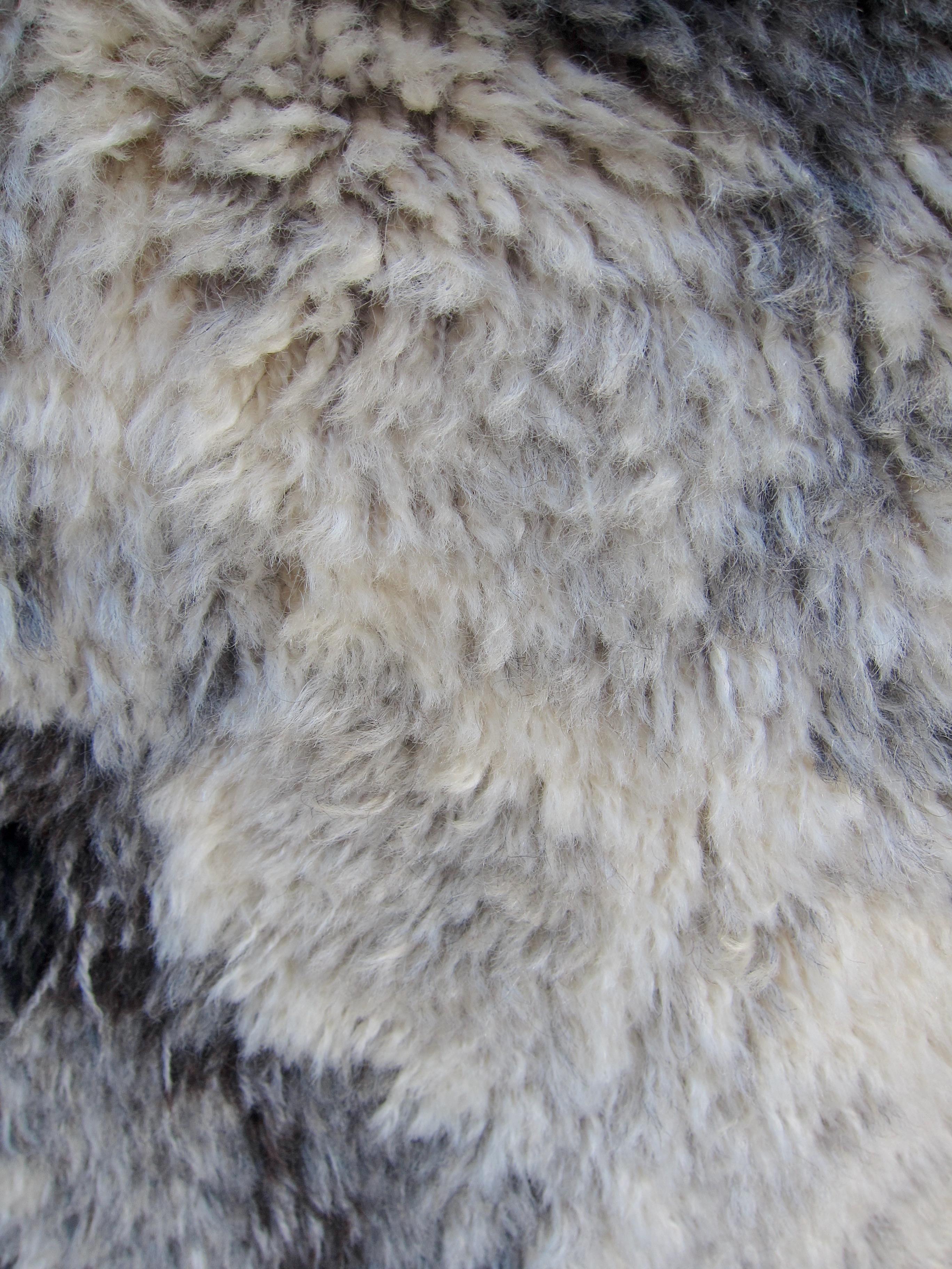 Birgitta Salenius Tapis Rya Alaska du milieu du siècle pour NIAB of Sweden 5