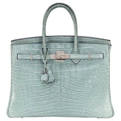 Birkin 35 Ciel Alligator 