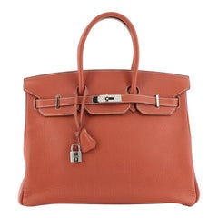 Birkin Handbag Sanguine Fjord with Palladium Hardware 35