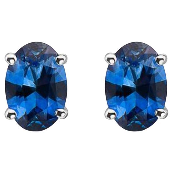 Birthstone Earrings Featuring Cornflower Sapphire Set in 14K Vanilla Gold