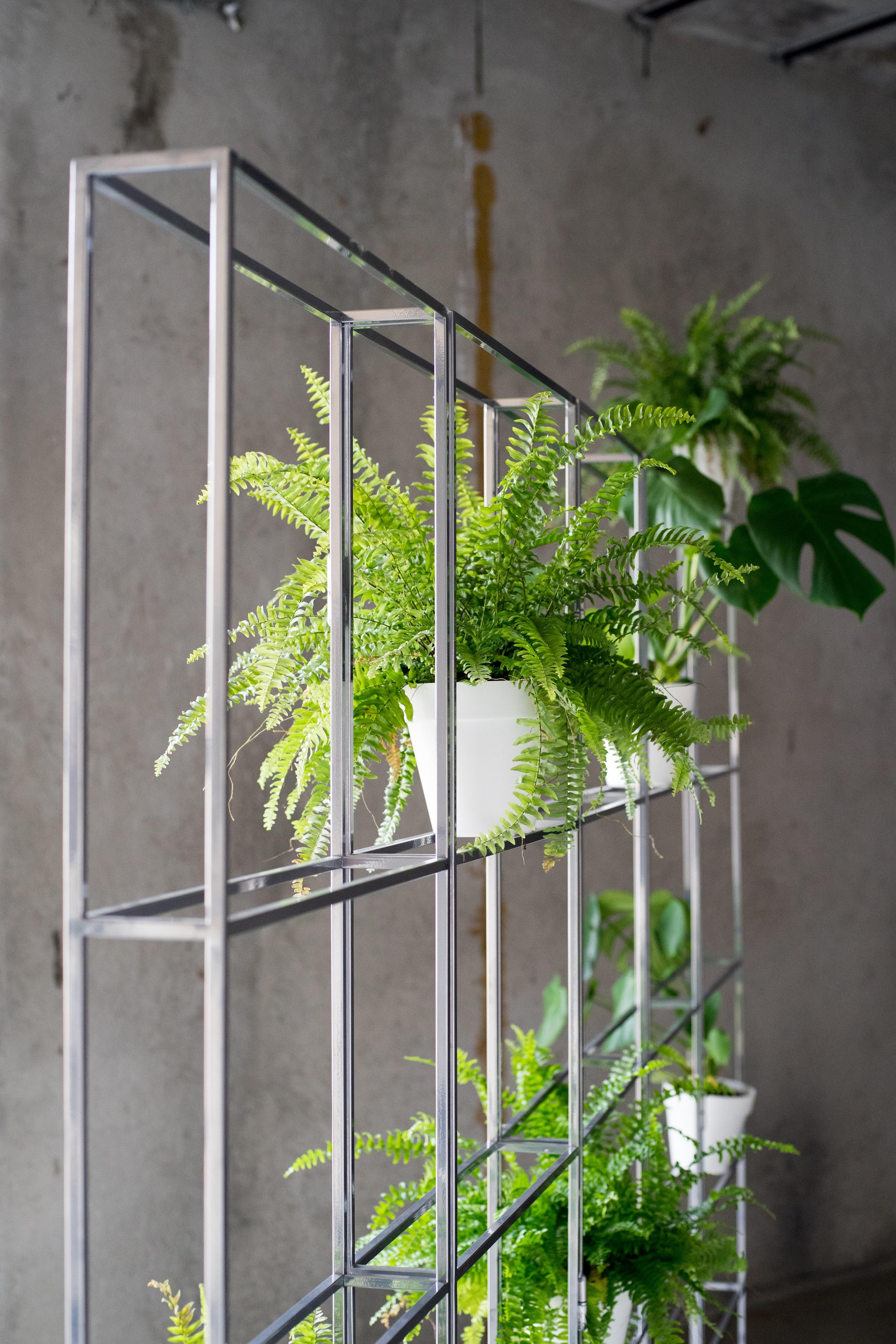 Portuguese Bisagra Shelve in Steel