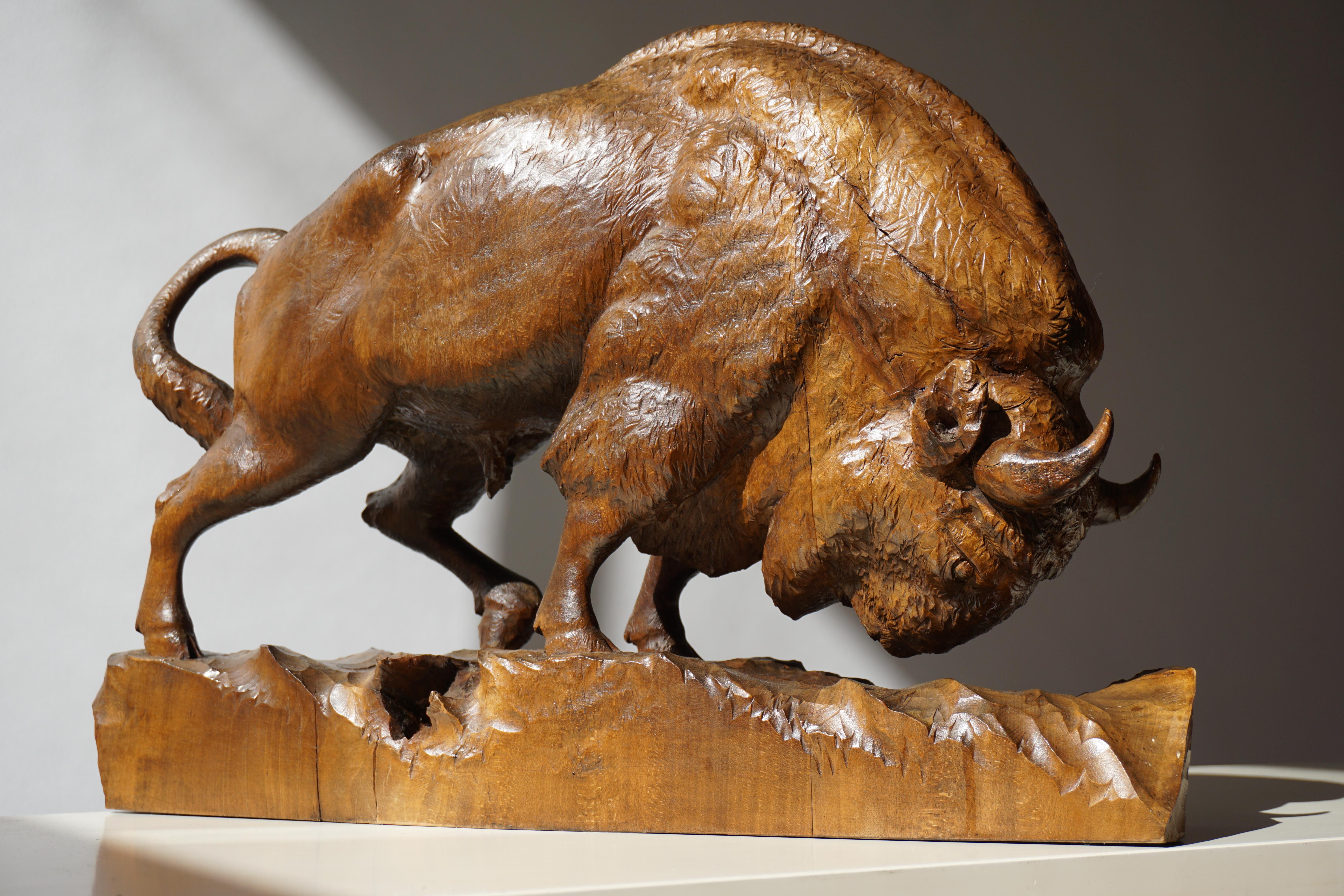 Bison Sculpture in Wood 5