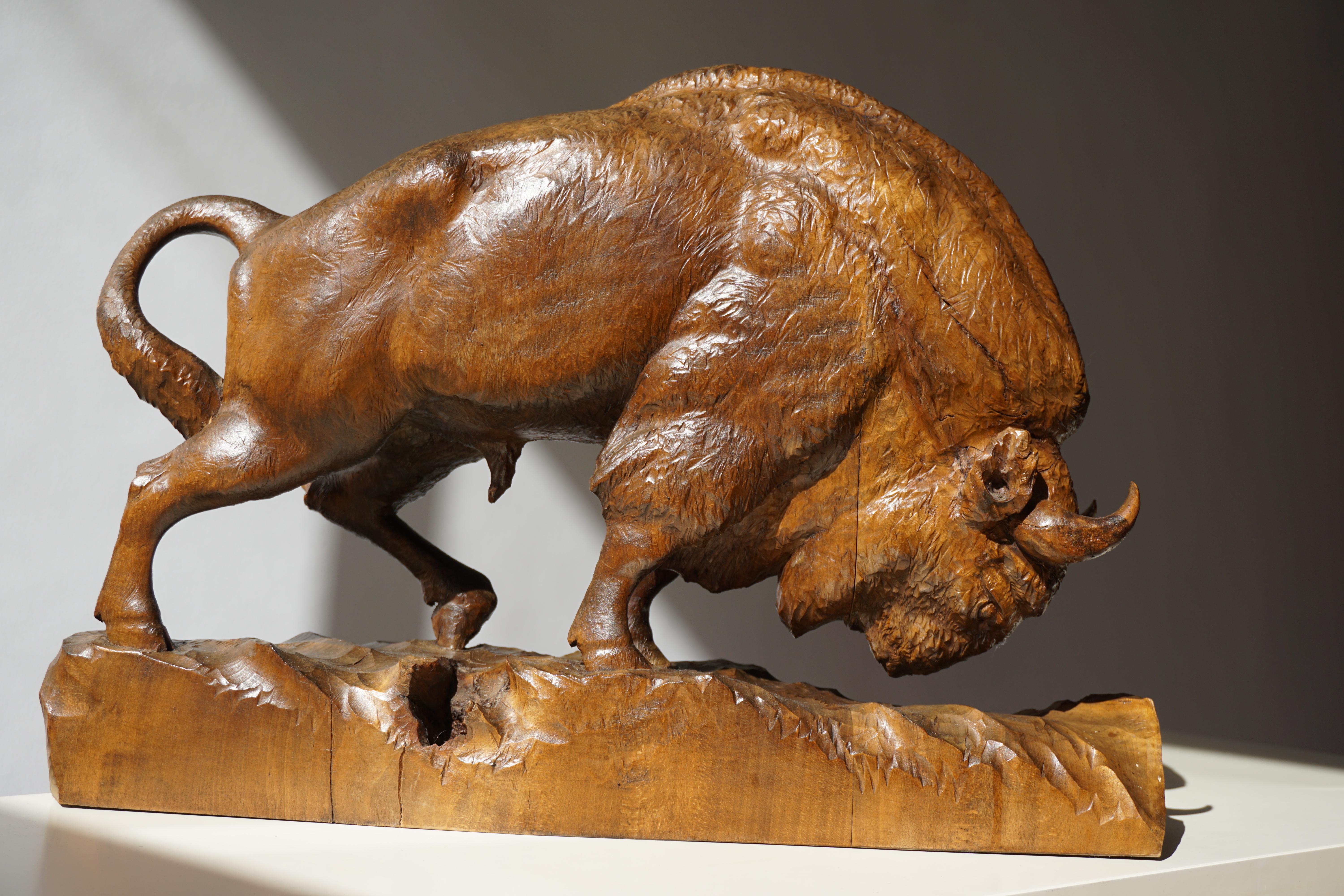 Bison Sculpture in Wood 6