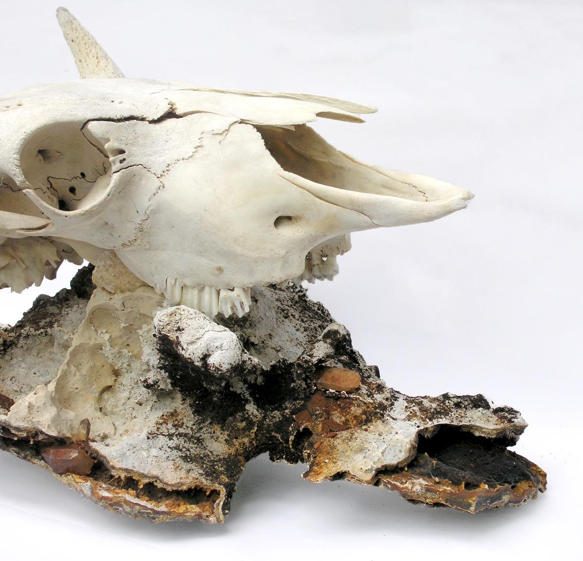 Organic Modern Bison Skull on a Fossil Agate Coral Decorated with Crystal Quartz Points For Sale