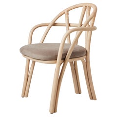 Dining Room Chairs