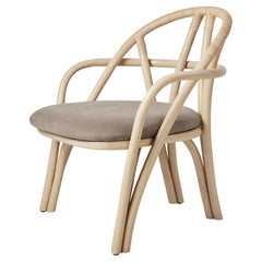Dining Room Chairs