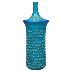 Vintage Bitossi Ceramic Covered Vase, Italy