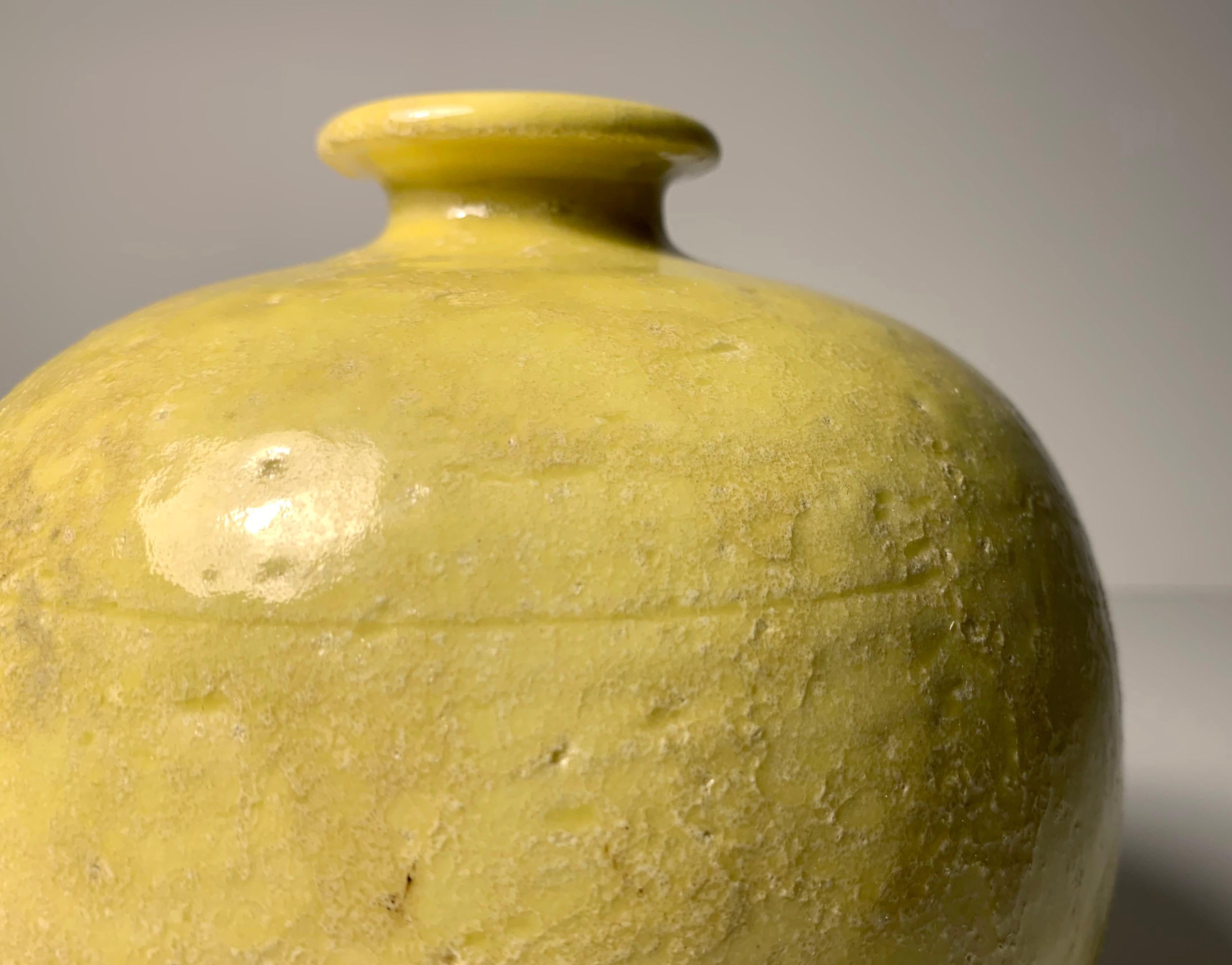 Mid-Century Modern Bitossi Ceramic Vase by Aldo Londi
