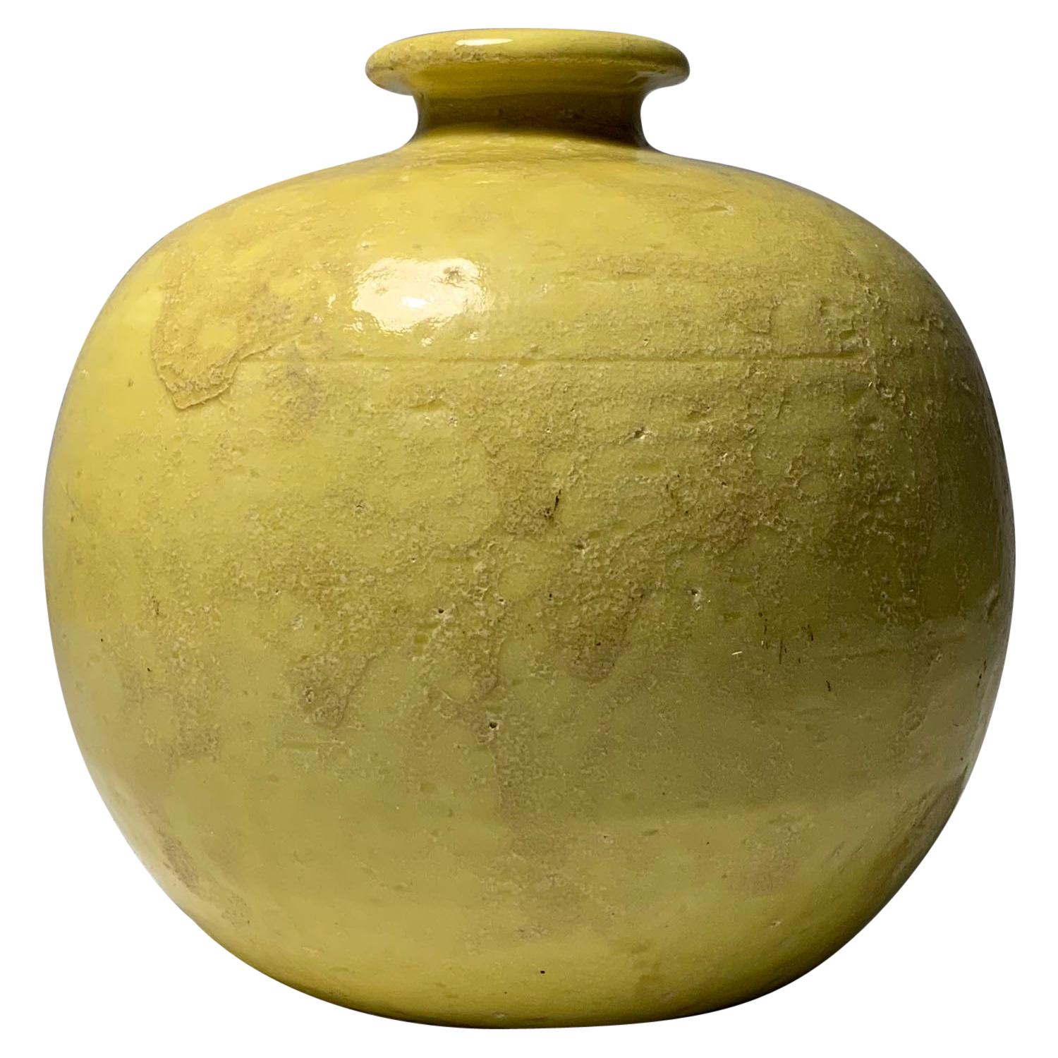 Bitossi Ceramic Vase by Aldo Londi