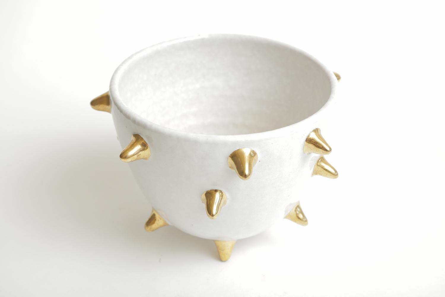 bowl with spikes