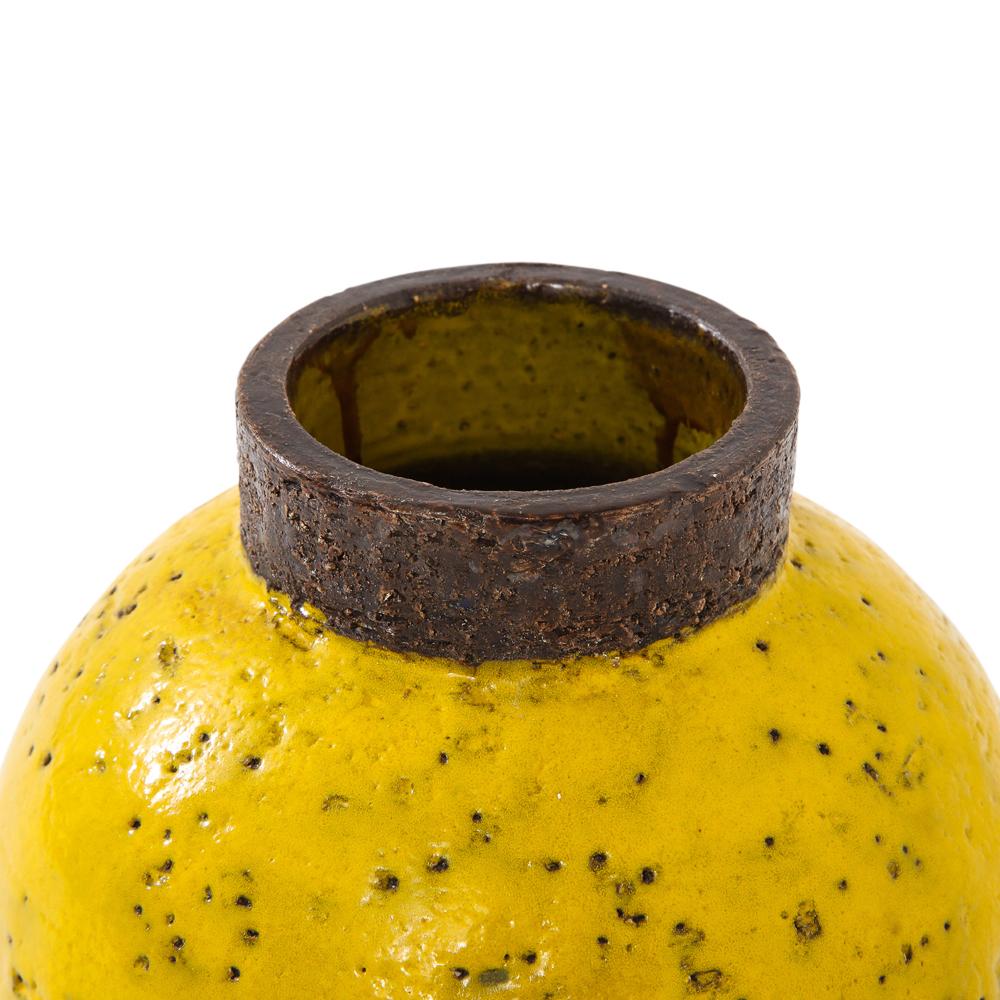 Glazed Bitossi Vase, Ceramic, Yellow and Brown, Signed