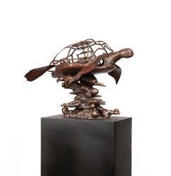 La tartaruga volante