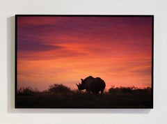 A New Beginning, Africa series by Bjorn Persson Wildlife Photography