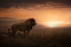 Serie «Un nuevo día, África», de Bjorn Persson, fotografía de fauna salvaje