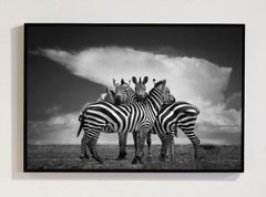 Serie "Close, Africa" di Bjorn Persson - Fotografia naturalistica
