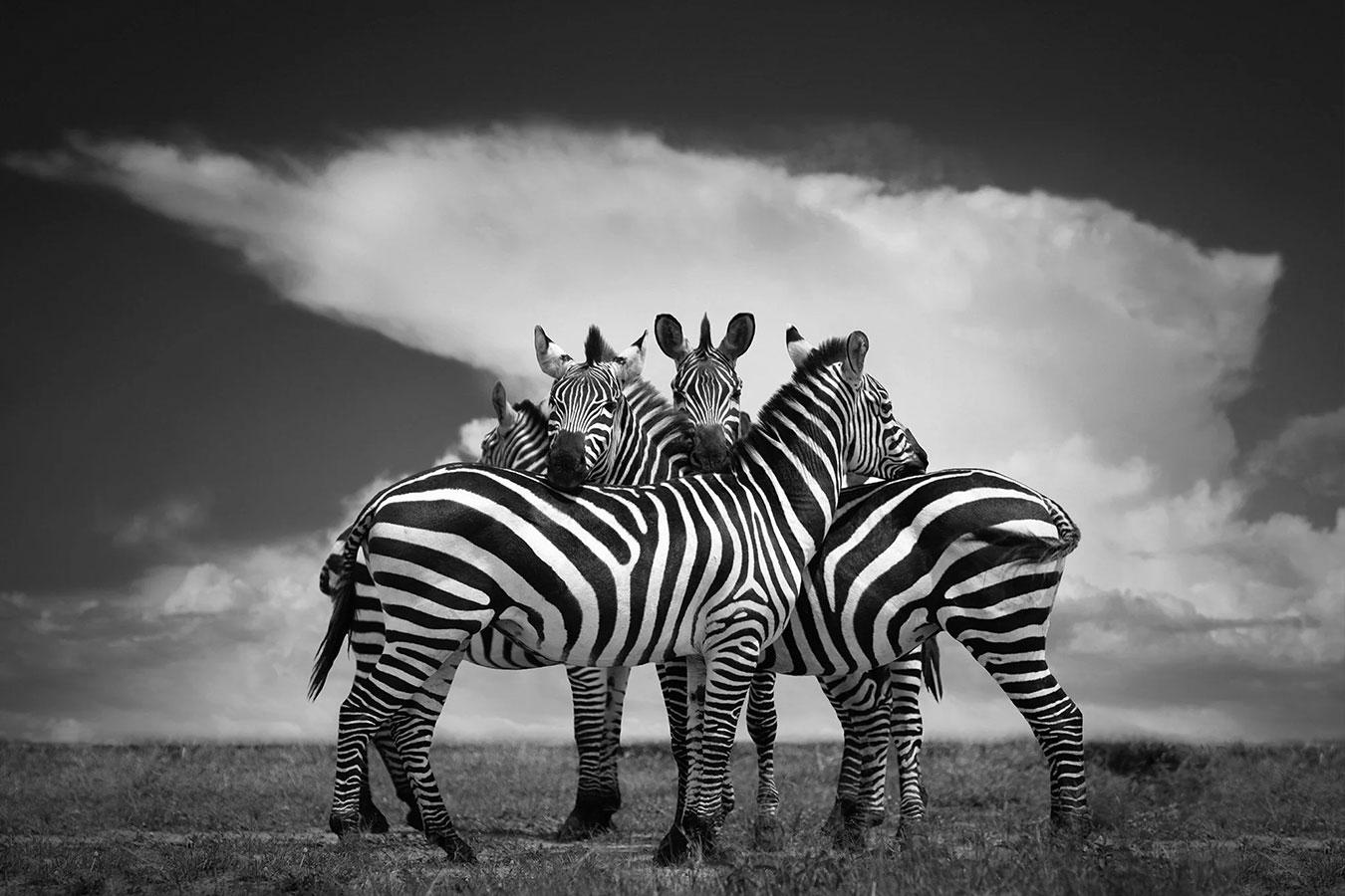 Black and White Photograph Björn Persson - Fermer