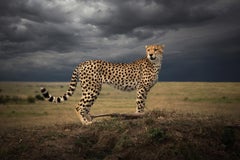"Colors Is Africa", serie "Africa" di Bjorn Persson - Fotografia naturalistica