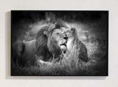 Father and Son Masai Mara National Park, Kenya