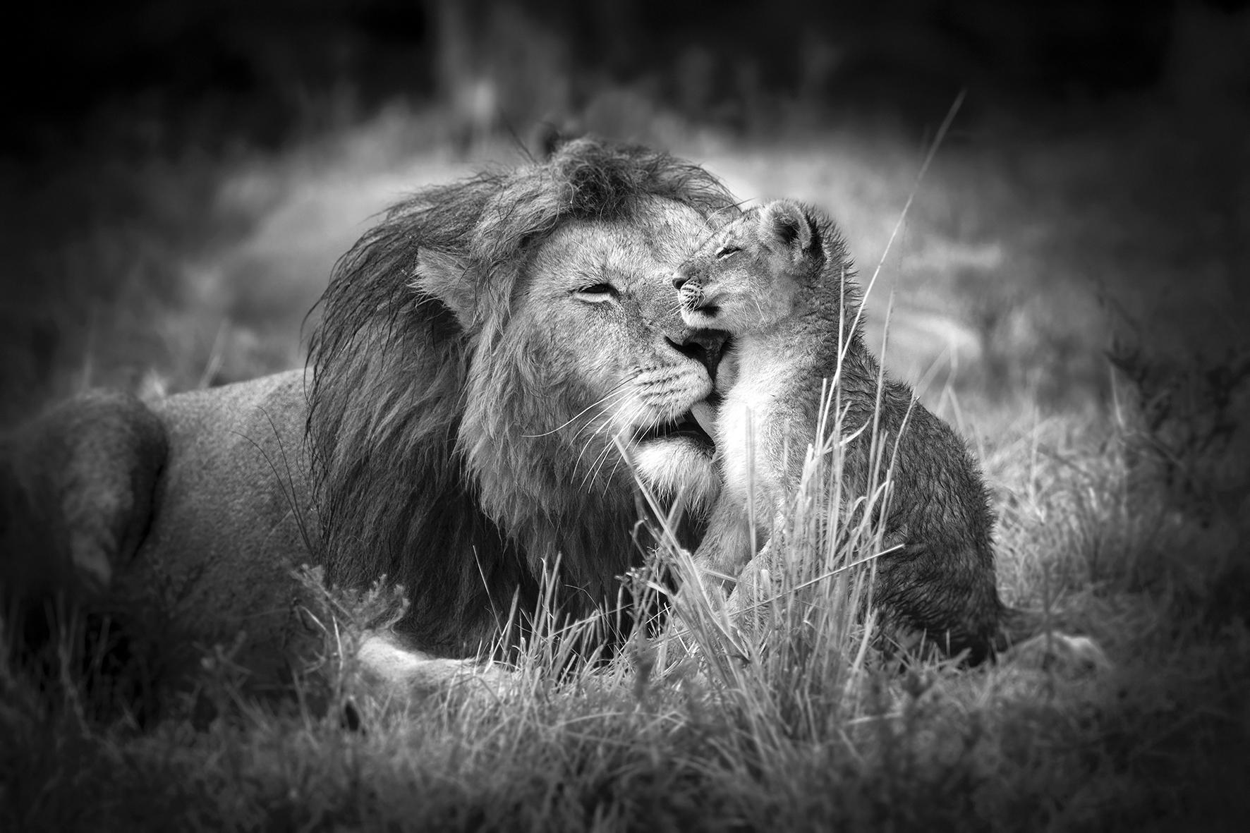 Björn Persson Black and White Photograph - Father and Son Masai Mara National Park, Kenya