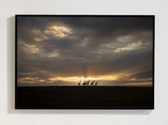 Giraffe Planet, Africa series by Bjorn Persson Wildlife Photography