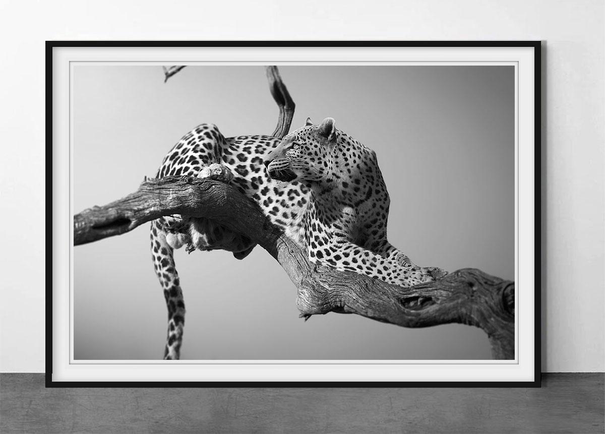 Heaven, Etosha, Namibia, Afrique - Photograph de Björn Persson
