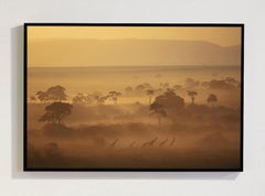 "Heaven On Earth", serie dedicata all'Africa di Bjorn Persson - Fotografia naturalistica