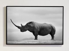 „Horn von Afrika“, Afrika-Serie von Björn Persson, Naturfotografie