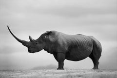 Horn of Africa by Bjorn Persson