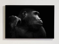 Human Kind, Africa series by Bjorn Persson Wildlife Photography