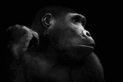 Human Kind, Africa series by Bjorn Persson Wildlife Photography