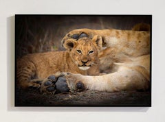 Reihe „Into My Arms, Africa“ von Björn Persson – Naturfotografie