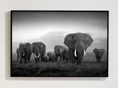 Serie „Kilimandscharo, Afrika“ von Björn Persson – Naturfotografie