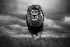 Le roi des rois