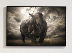« Last Of Its Kind », série consacrée à l'Afrique par Bjorn Persson, photographe animalier