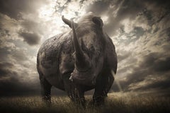 « Last Of Its Kind », série consacrée à l'Afrique par Bjorn Persson, photographe animalier