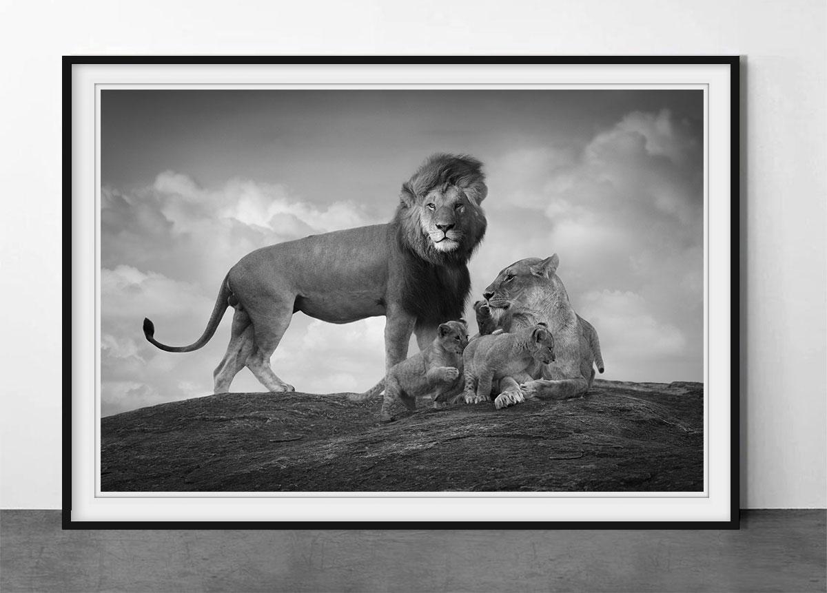 Living Souls - Photograph by Björn Persson