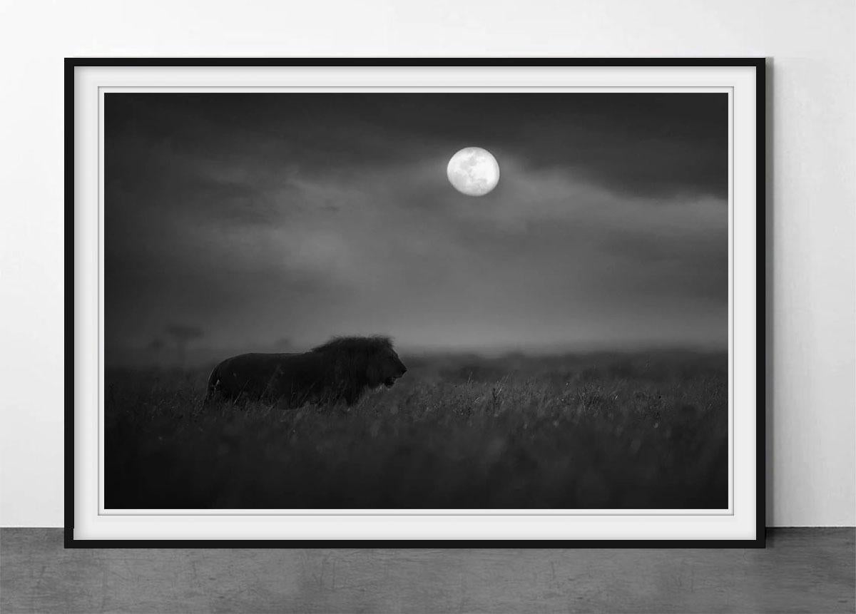 Cacciatore di Luna - Print di Björn Persson